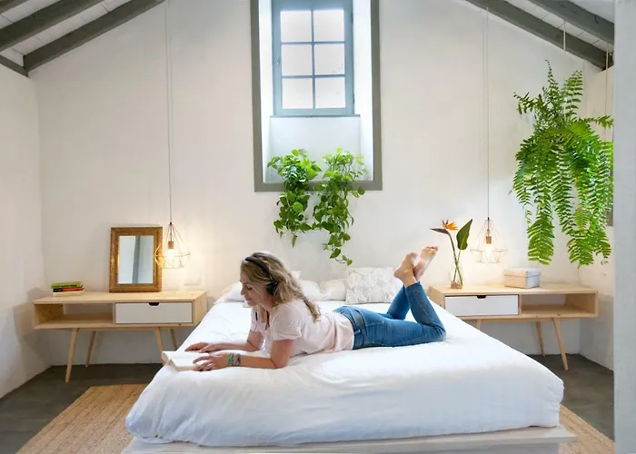 Hacienda El Cardon * San Juan de la Rambla