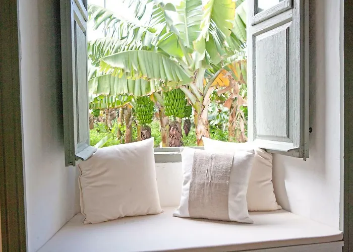 Hacienda El Cardon * San Juan de la Rambla