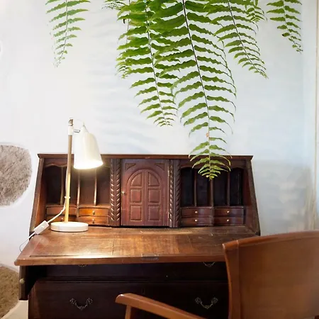 빌라 Hacienda El Cardon San Juan de la Rambla