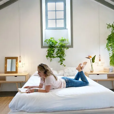 Hacienda El Cardon * San Juan de la Rambla