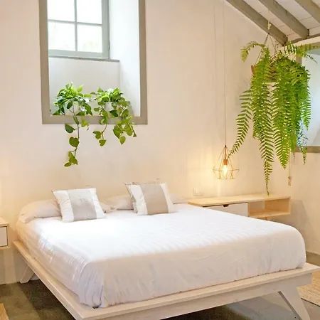 Hacienda El Cardon Villa *