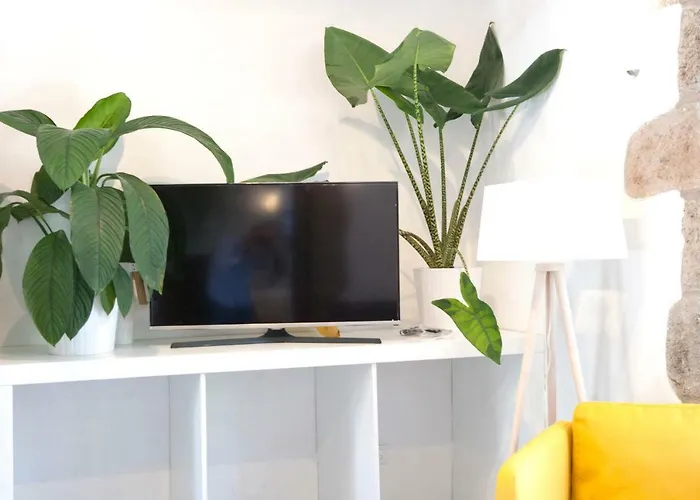 Hacienda El Cardon Villa